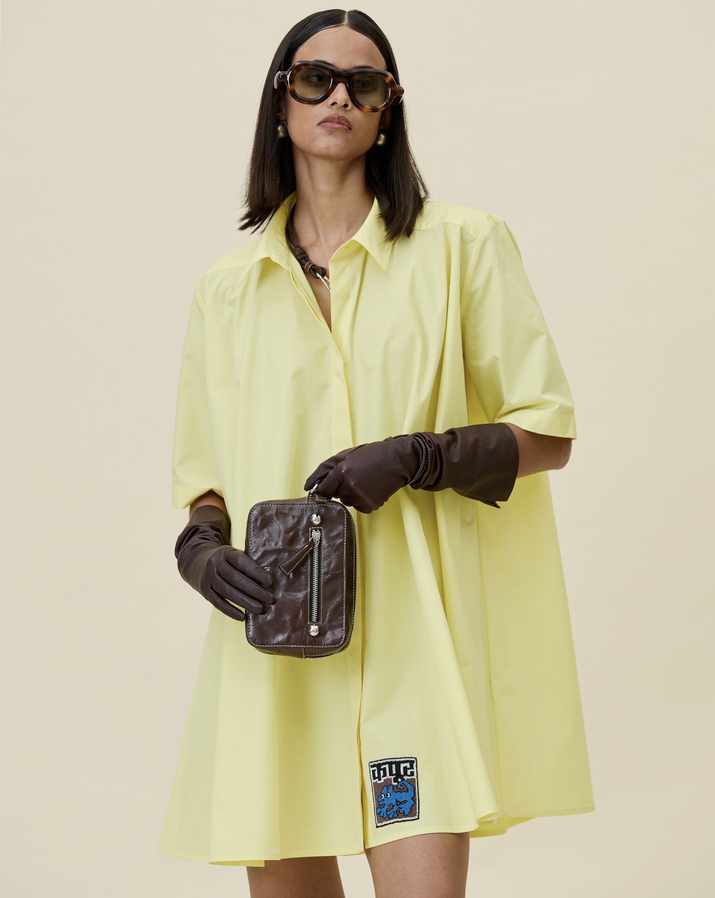 Flared Shirt Dress
